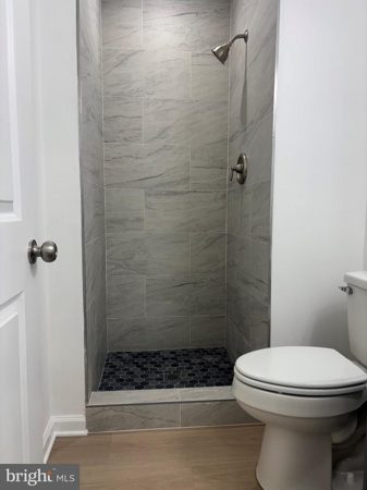 Lower-level full bath with walk-in shower